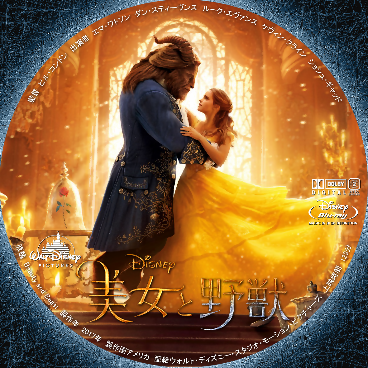 美女と野獣 DVDセットコレクション Blu-ray DVD 中古（Amazon.co